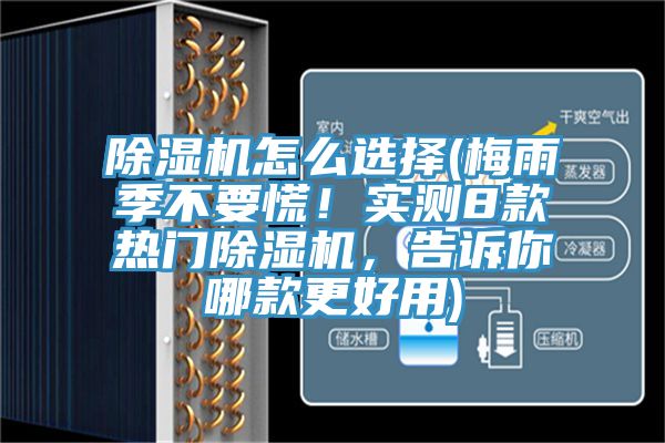 猫咪成人官网怎么选择(梅雨季不要慌！实测8款热门猫咪成人官网，告诉你哪款更好用)