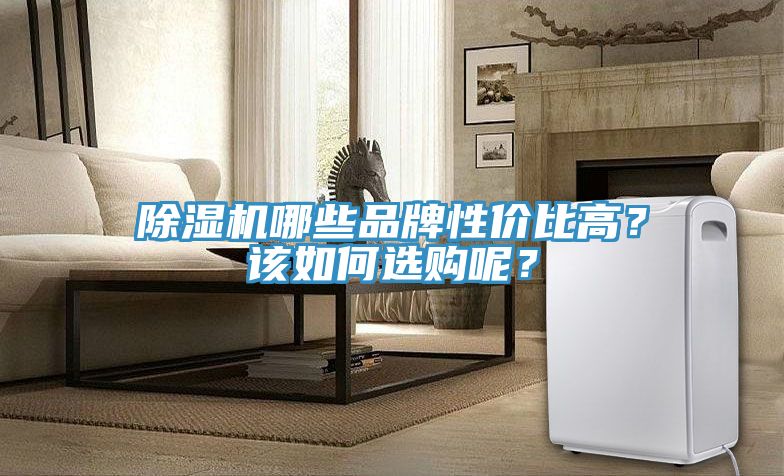 猫咪成人官网哪些品牌性价比高？该如何选购呢？