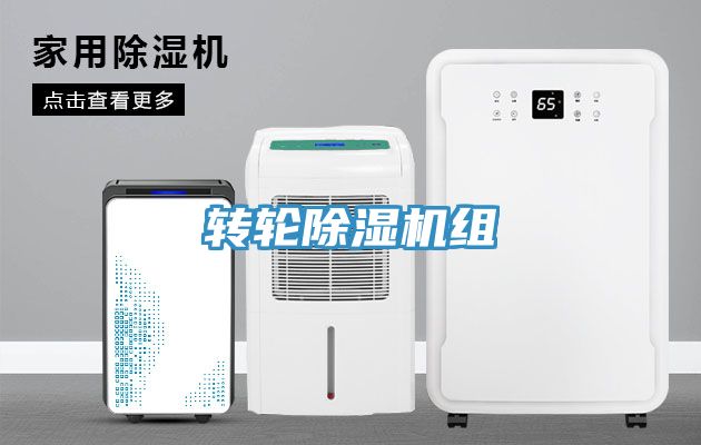 转轮猫咪成人官网组