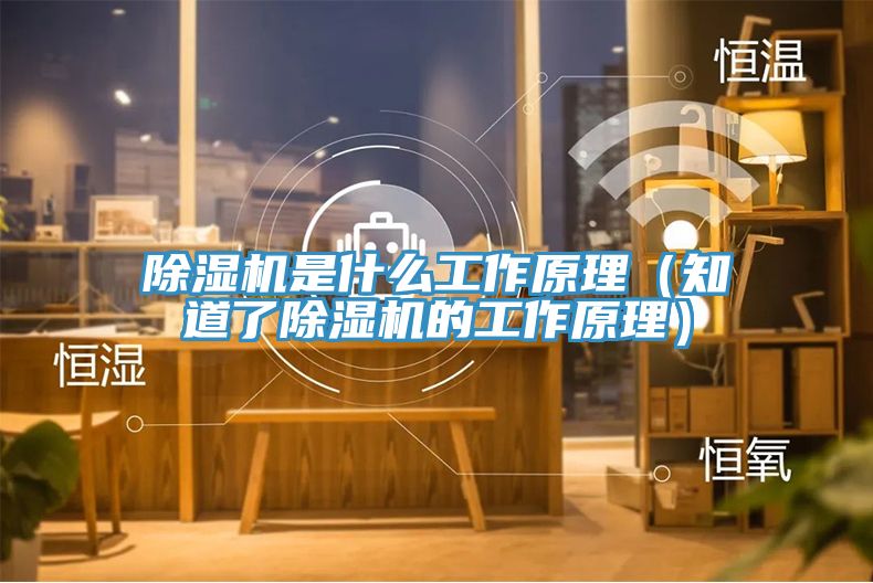 猫咪成人官网是什么工作原理（知道了猫咪成人官网的工作原理）