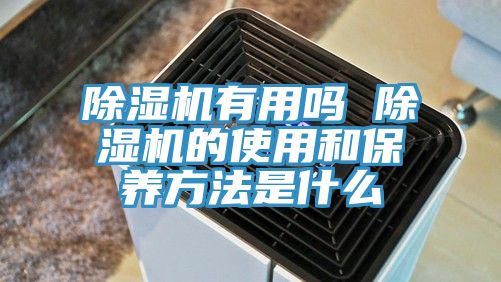 猫咪成人官网有用吗 猫咪成人官网的使用和保养方法是什么