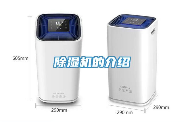 猫咪成人官网的介绍