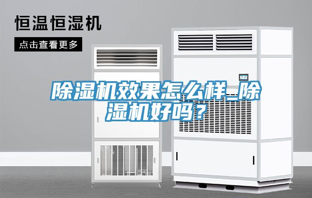 猫咪成人官网效果怎么样_猫咪成人官网好吗？