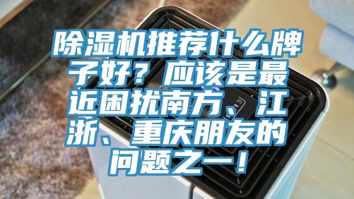 猫咪成人官网推荐什么牌子好？应该是最近困扰南方、江浙、重庆朋友的问题之一！