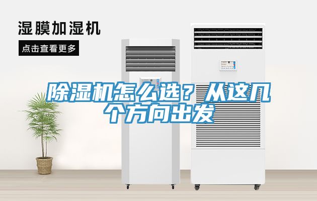 猫咪成人官网怎么选？从这几个方向出发