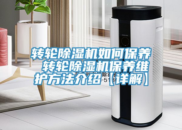 转轮猫咪成人官网如何保养 转轮猫咪成人官网保养维护方法介绍【详解】