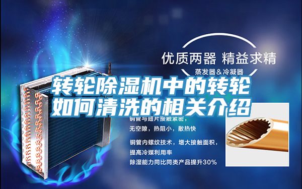 转轮猫咪成人官网中的转轮如何清洗的相关介绍