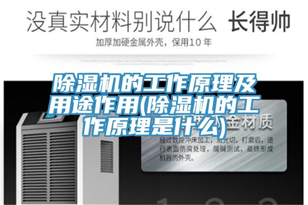 猫咪成人官网的工作原理及用途作用(猫咪成人官网的工作原理是什么)