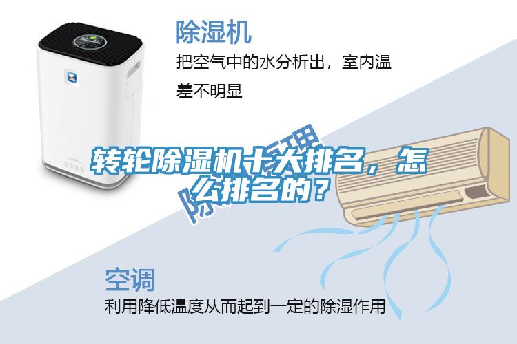 转轮猫咪成人官网十大排名，怎么排名的？