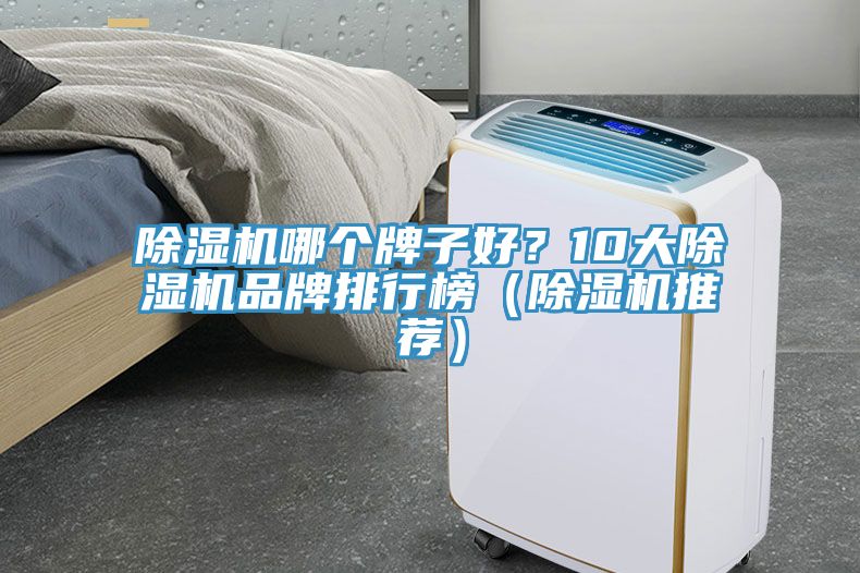 猫咪成人官网哪个牌子好？10大猫咪成人官网品牌排行榜（猫咪成人官网推荐）
