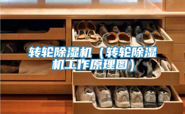 转轮猫咪成人官网（转轮猫咪成人官网工作原理图）