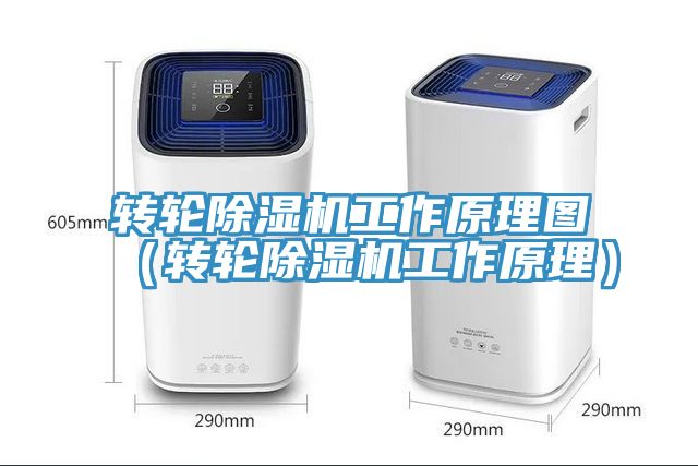 转轮猫咪成人官网工作原理图（转轮猫咪成人官网工作原理）