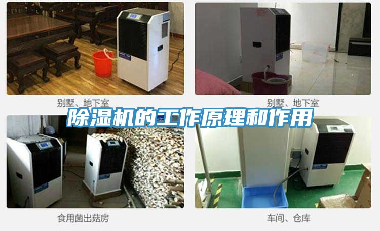 猫咪成人官网的工作原理和作用
