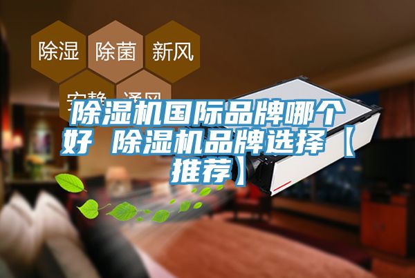 猫咪成人官网国际品牌哪个好 猫咪成人官网品牌选择【推荐】