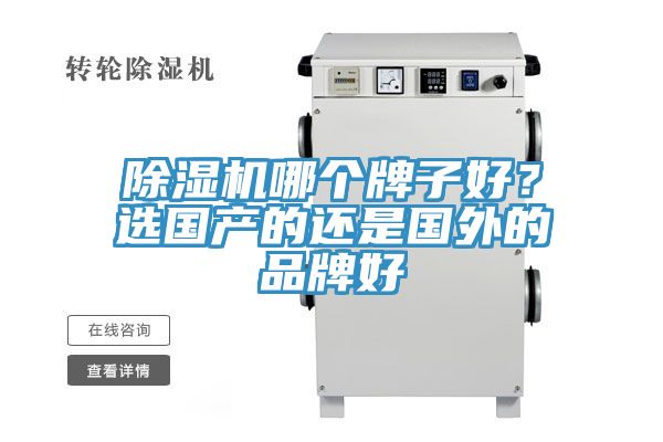 猫咪成人官网哪个牌子好？选国产的还是国外的品牌好