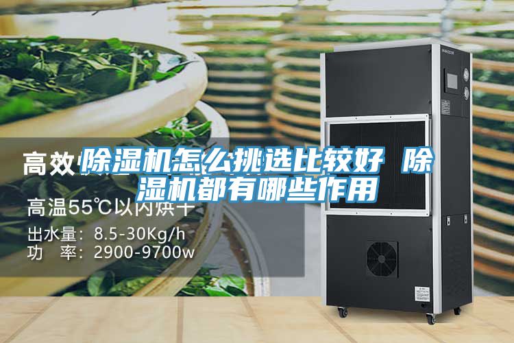 猫咪成人官网怎么挑选比较好 猫咪成人官网都有哪些作用