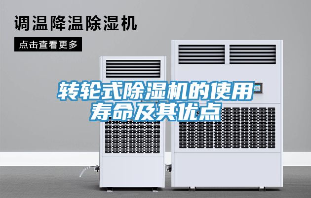 转轮式猫咪成人官网的使用寿命及其优点