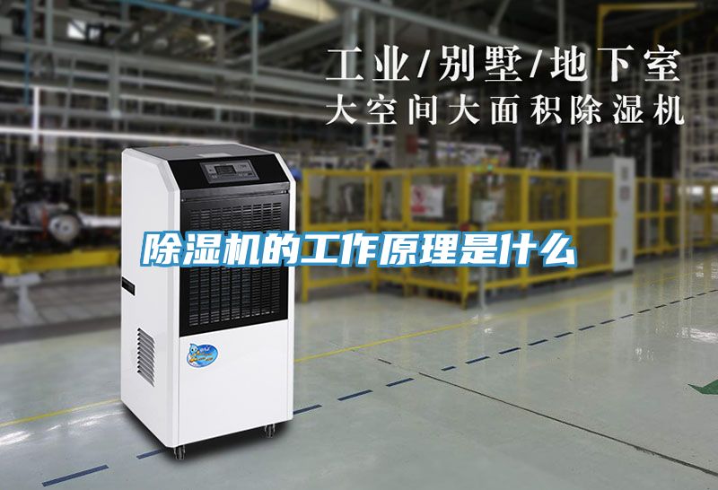 猫咪成人官网的工作原理是什么