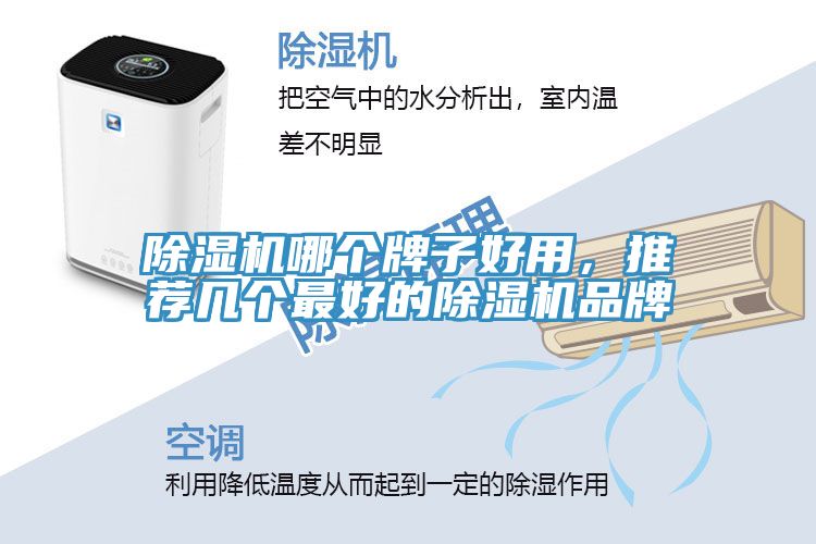 猫咪成人官网哪个牌子好用，推荐几个最好的猫咪成人官网品牌