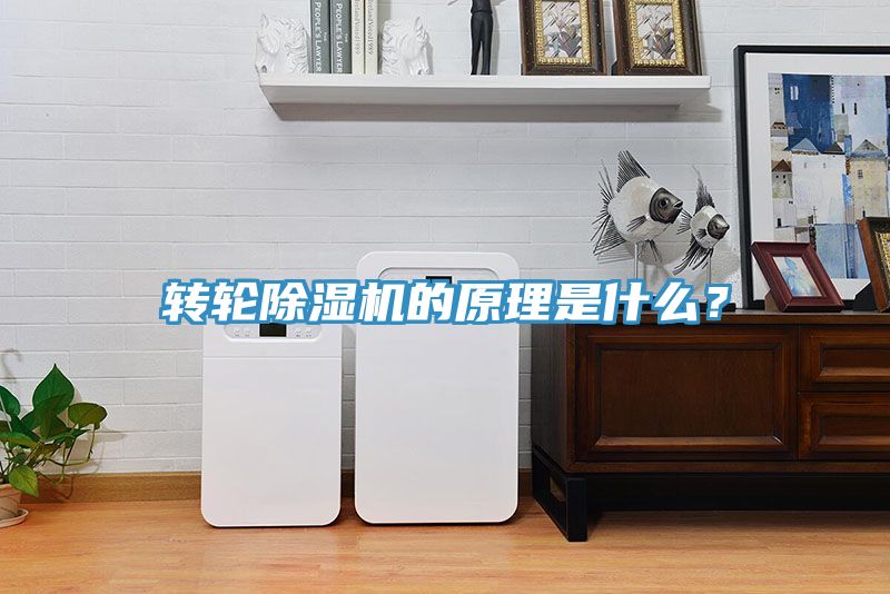 转轮猫咪成人官网的原理是什么？