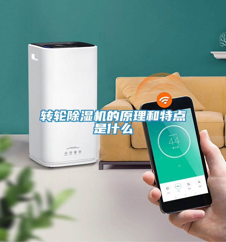 转轮猫咪成人官网的原理和特点是什么