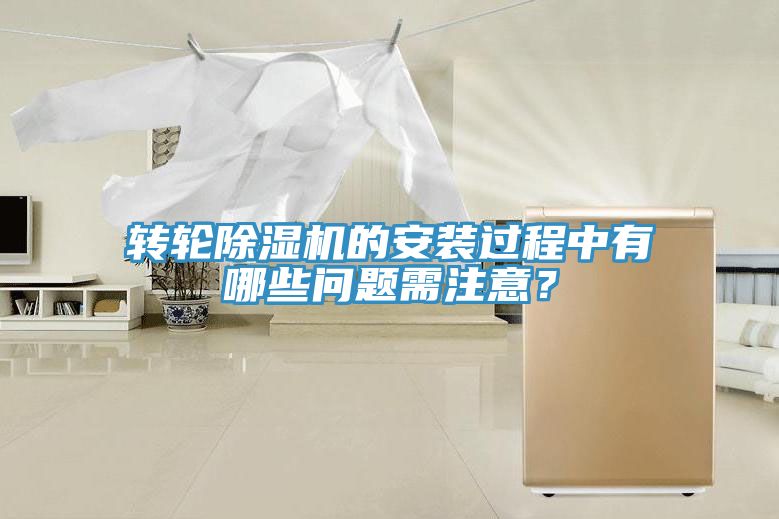 转轮猫咪成人官网的安装过程中有哪些问题需注意？