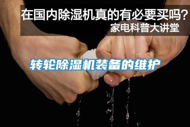 转轮猫咪成人官网装备的维护