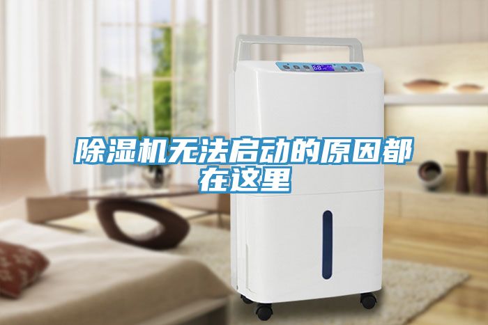 猫咪成人官网无法启动的原因都在这里