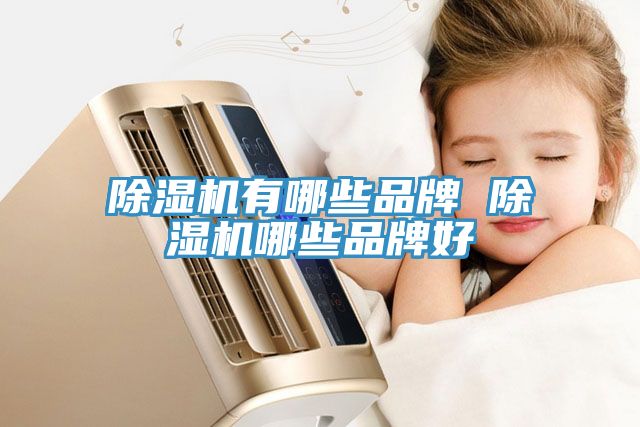 猫咪成人官网有哪些品牌 猫咪成人官网哪些品牌好