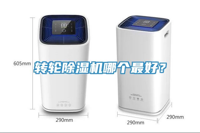 转轮猫咪成人官网哪个最好？