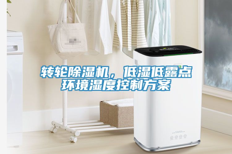 转轮猫咪成人官网，低湿低露点环境湿度控制方案