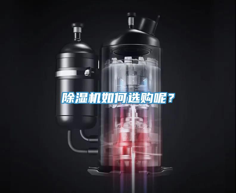 猫咪成人官网如何选购呢？