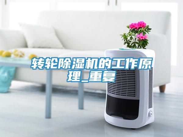 转轮猫咪成人官网的工作原理_重复