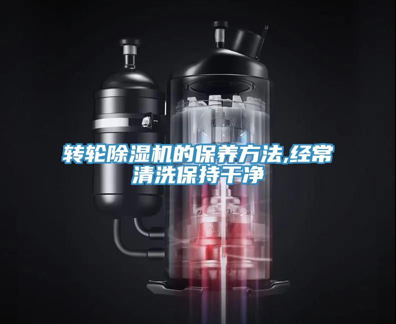 转轮猫咪成人官网的保养方法,经常清洗保持干净