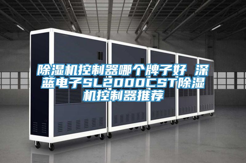 猫咪成人官网控制器哪个牌子好 深蓝电子SL2000CST猫咪成人官网控制器推荐