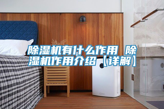猫咪成人官网有什么作用 猫咪成人官网作用介绍【详解】