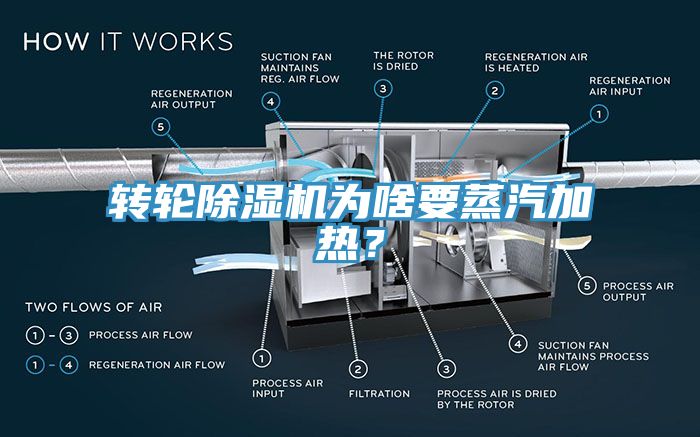 转轮猫咪成人官网为啥要蒸汽加热？