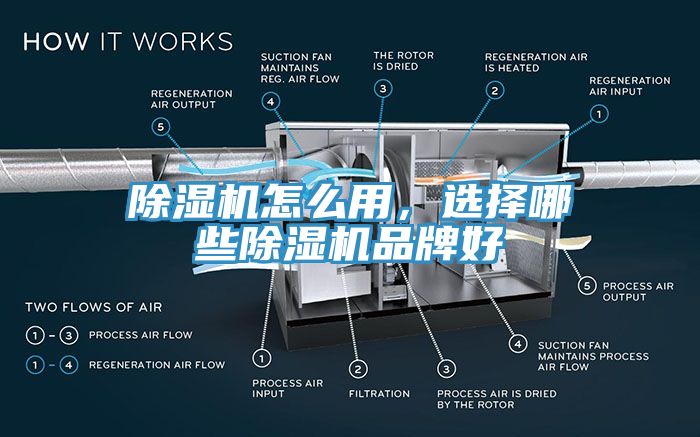 猫咪成人官网怎么用，选择哪些猫咪成人官网品牌好