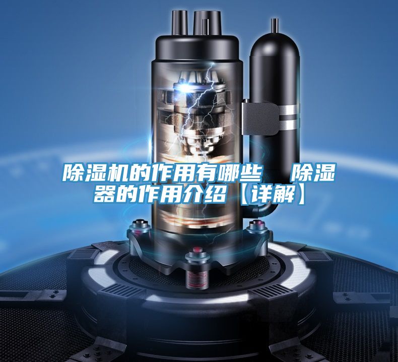 猫咪成人官网的作用有哪些  除湿器的作用介绍【详解】