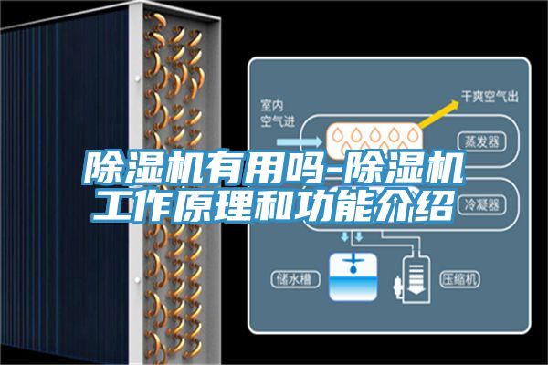 猫咪成人官网有用吗-猫咪成人官网工作原理和功能介绍