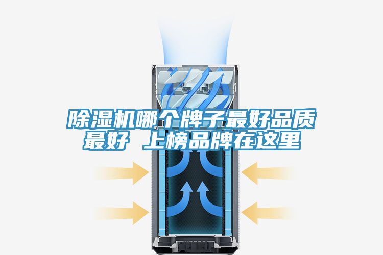 猫咪成人官网哪个牌子最好品质最好 上榜品牌在这里