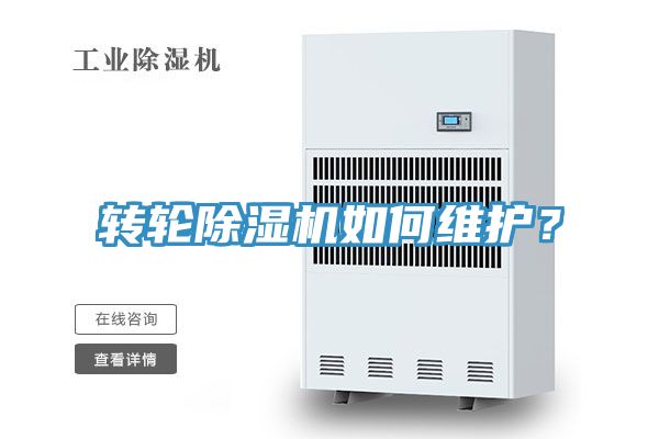 转轮猫咪成人官网如何维护？