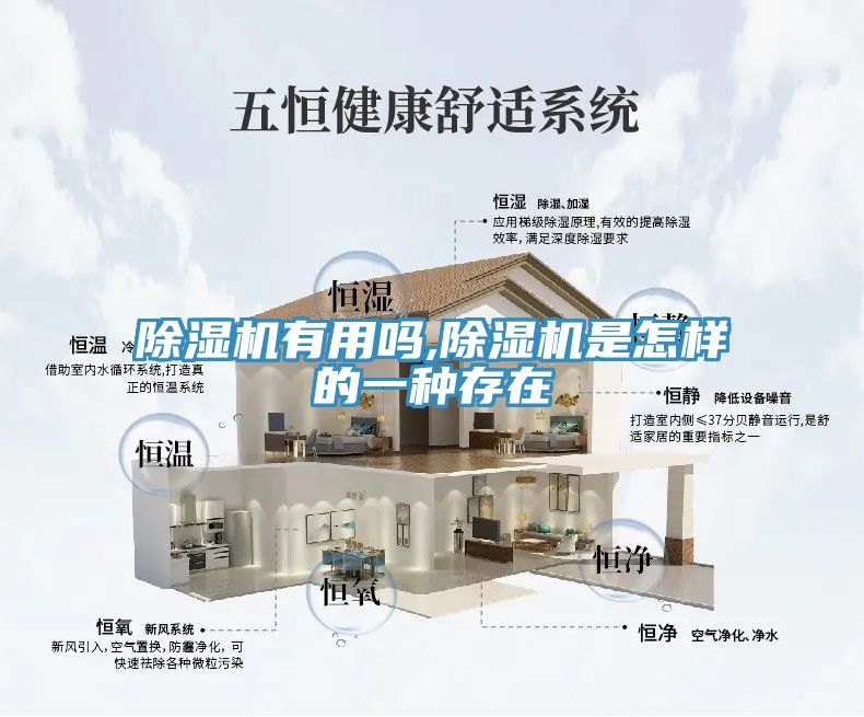 猫咪成人官网有用吗,猫咪成人官网是怎样的一种存在