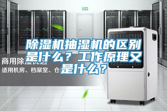 猫咪成人官网抽湿机的区别是什么？工作原理又是什么？