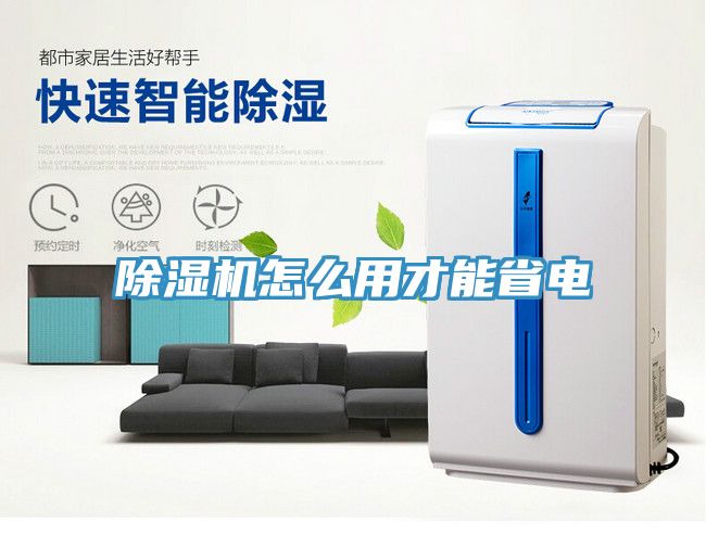 猫咪成人官网怎么用才能省电