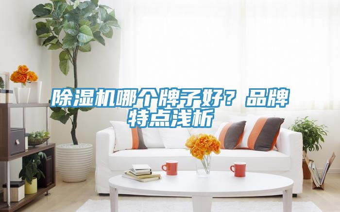 猫咪成人官网哪个牌子好？品牌特点浅析
