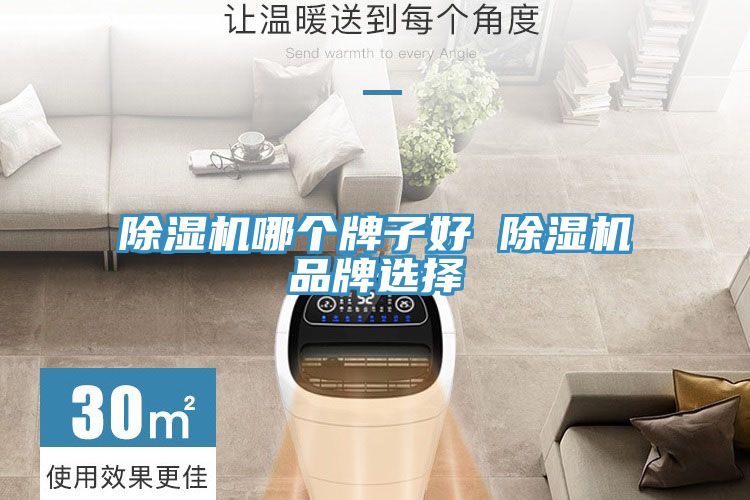 猫咪成人官网哪个牌子好 猫咪成人官网品牌选择