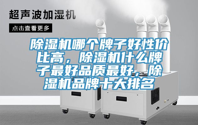 猫咪成人官网哪个牌子好性价比高，猫咪成人官网什么牌子最好品质最好，猫咪成人官网品牌十大排名