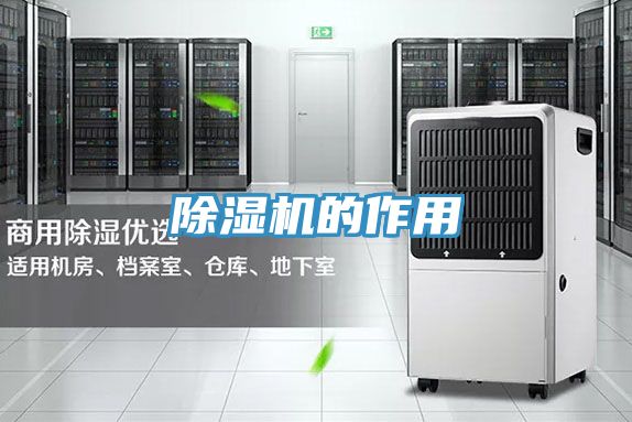 猫咪成人官网的作用