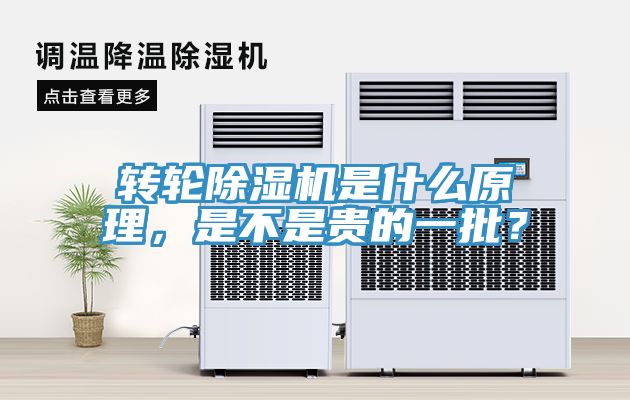 转轮猫咪成人官网是什么原理，是不是贵的一批？